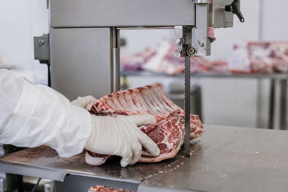 Meat Bandsaw Machine cutting meat